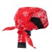 Red Paisley
