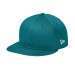 Shark Teal
