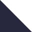 True Navy / White