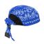 Blue Paisley